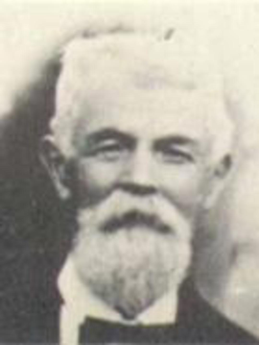 William Henry Bird (1846 - 1931) Profile